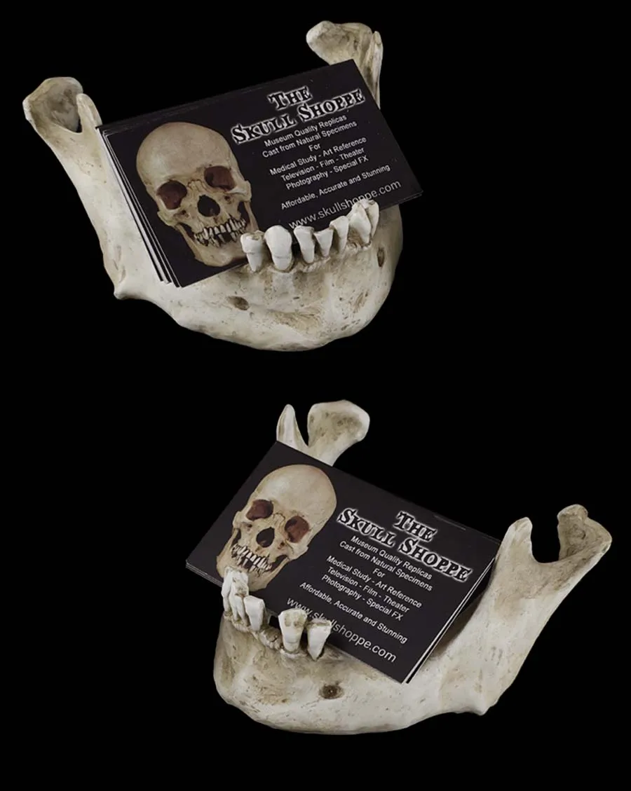 Business card holder 2-Pack