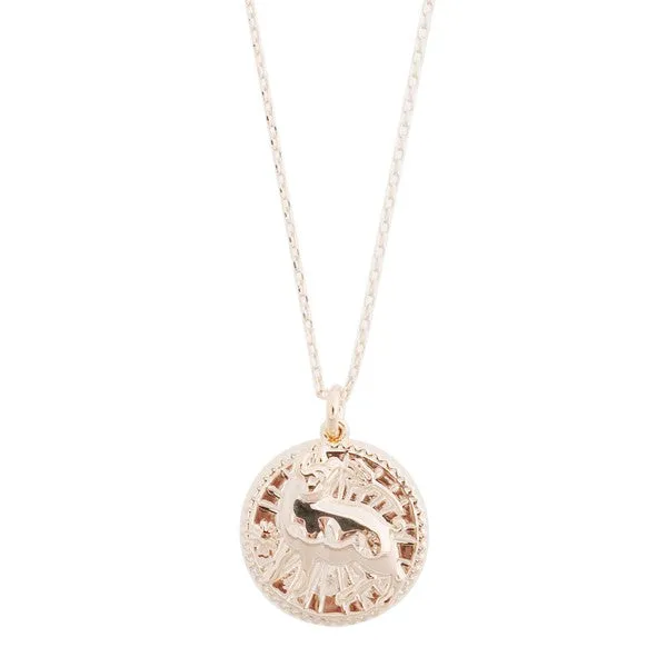 Chinese Zodiac Coin Necklace - Pig