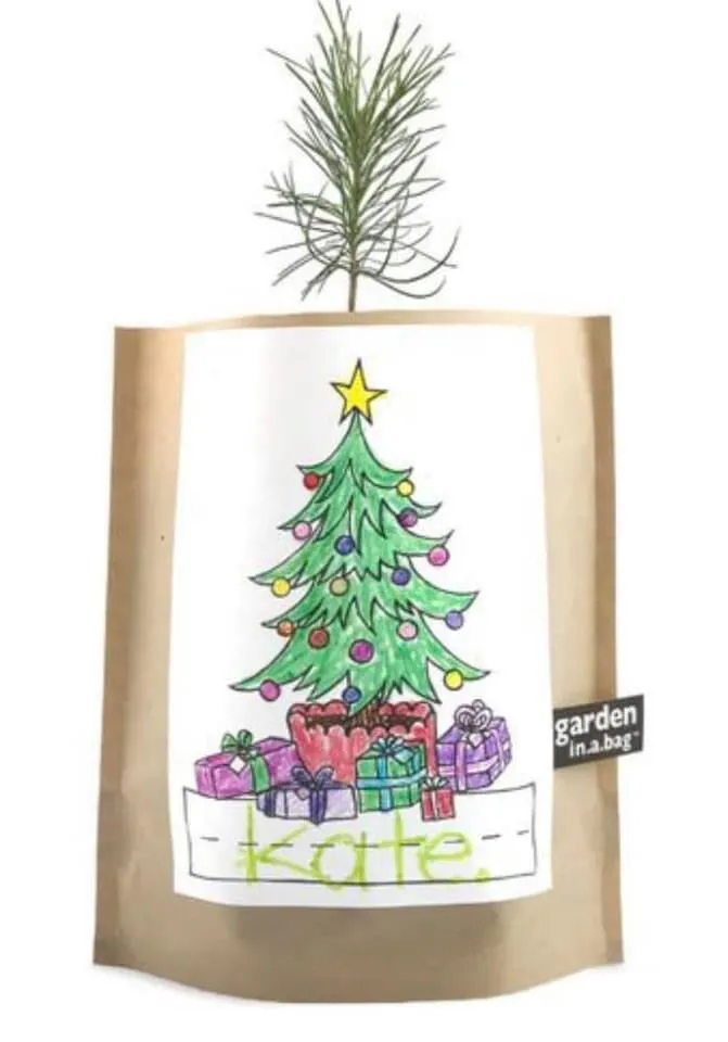 Garden In A Bag