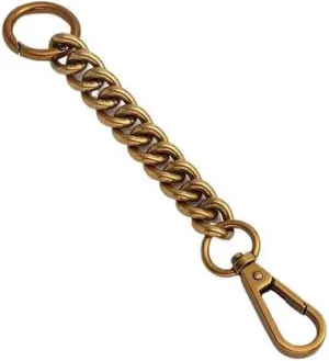 Handbag Strap Bag Extension Chain Bag Shoulder Strap Lengthened Armpit Short Chain Bag Transformation Accessories Cross Body Bag Strap(Ancient Gold)