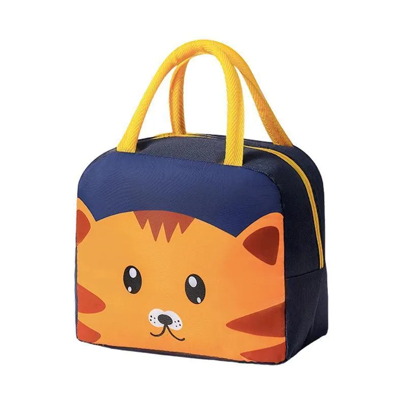 Insulated Lunch Bags 1-Pack Lightweight Portable