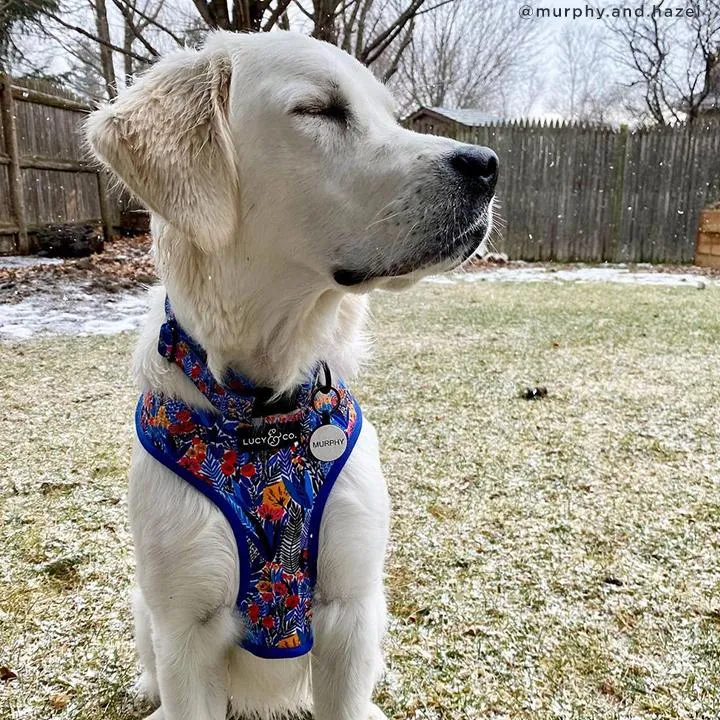 Lucy & Co. Royal Garden - Blue with Flowers - Adjustable Buckle Clip Dog Collar