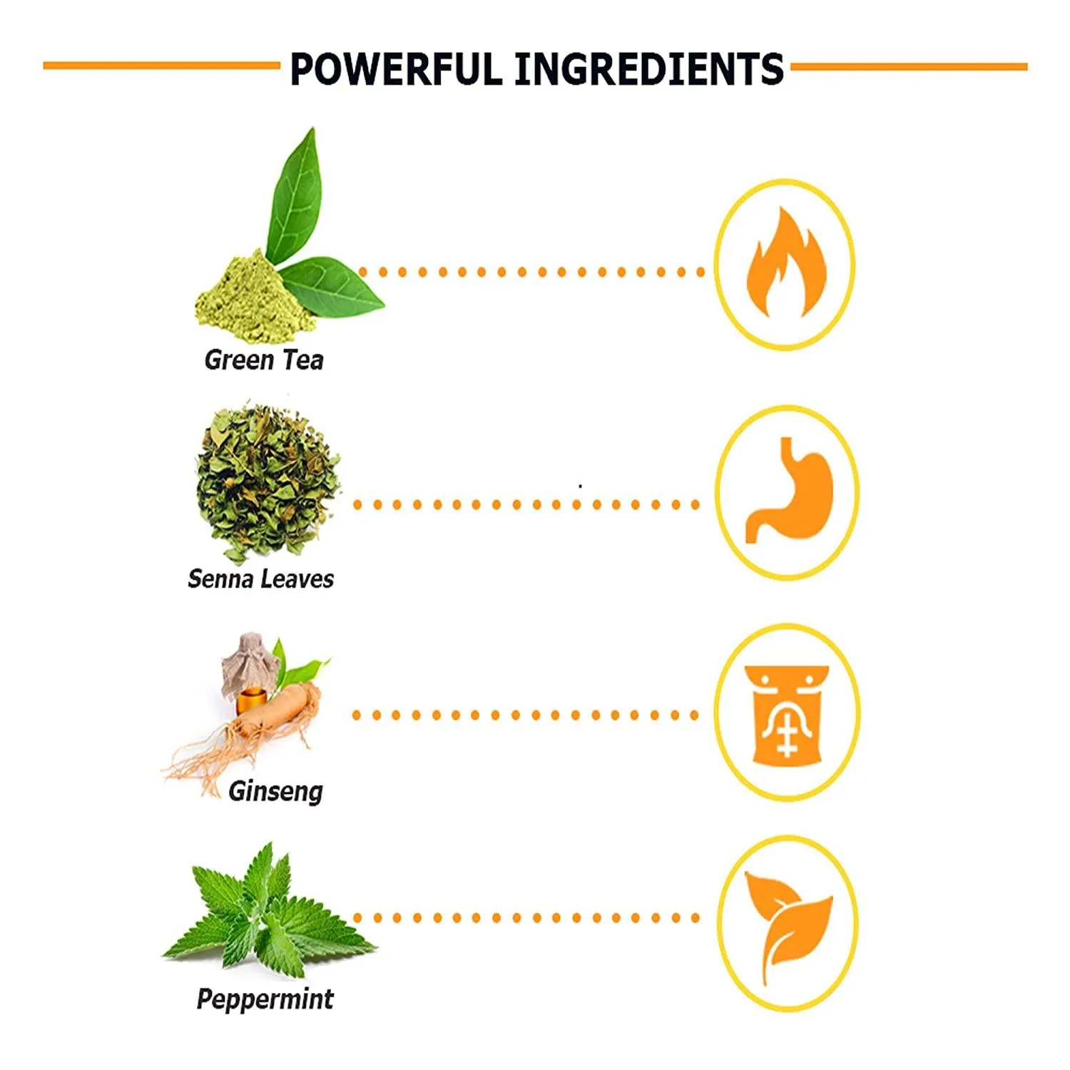 ShapeGate Skinny Detox Tea (28 Days) - for Weight Loss and Belly Fat - Colon and Body Cleanse - Constipation and Bloating Relief - Laxative Effect - Slim and Diet Tea - Green Tea   Senna   Ginseng